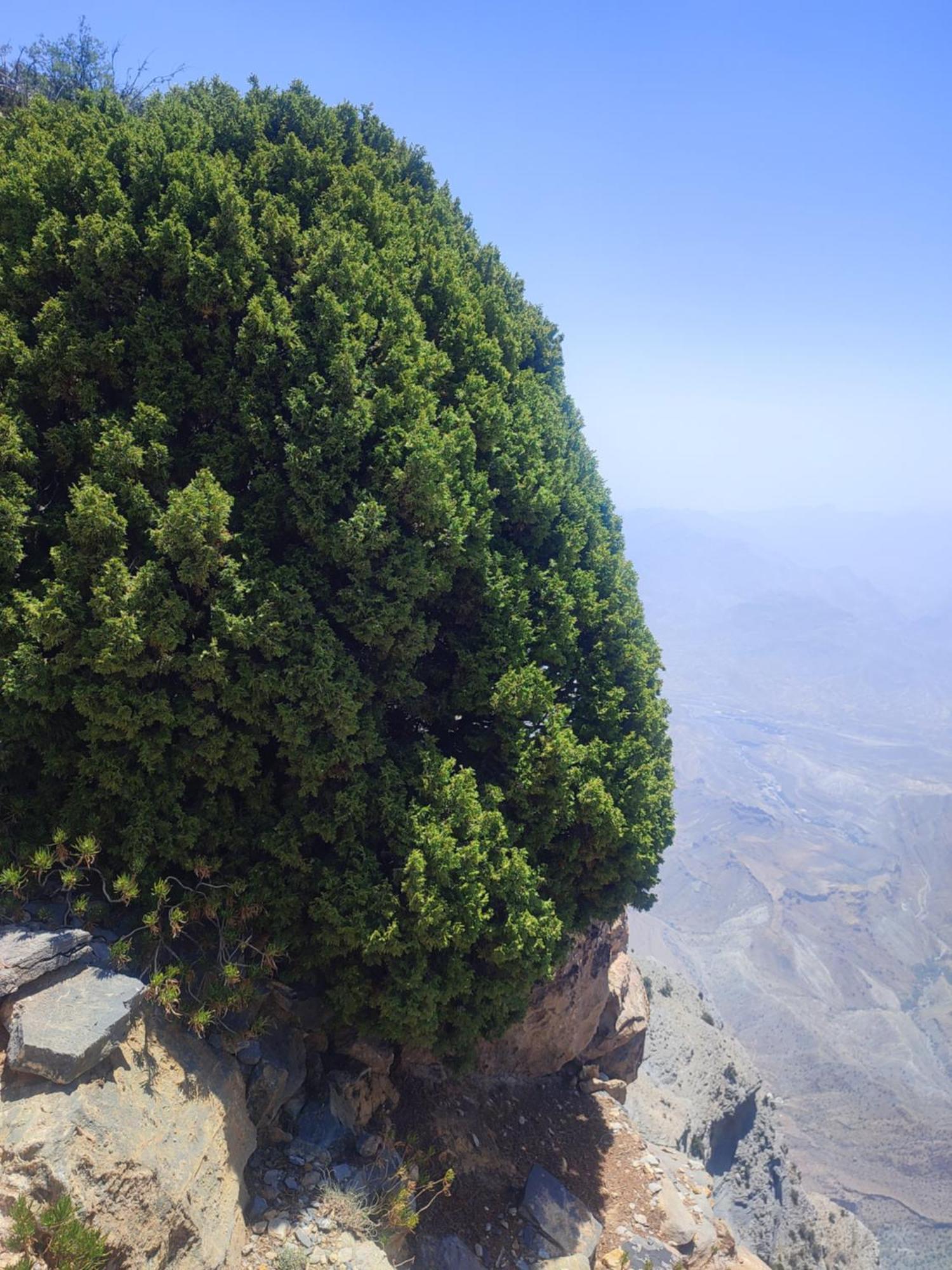 Stone Rest House Jebel Shams Al Hamra Luaran gambar